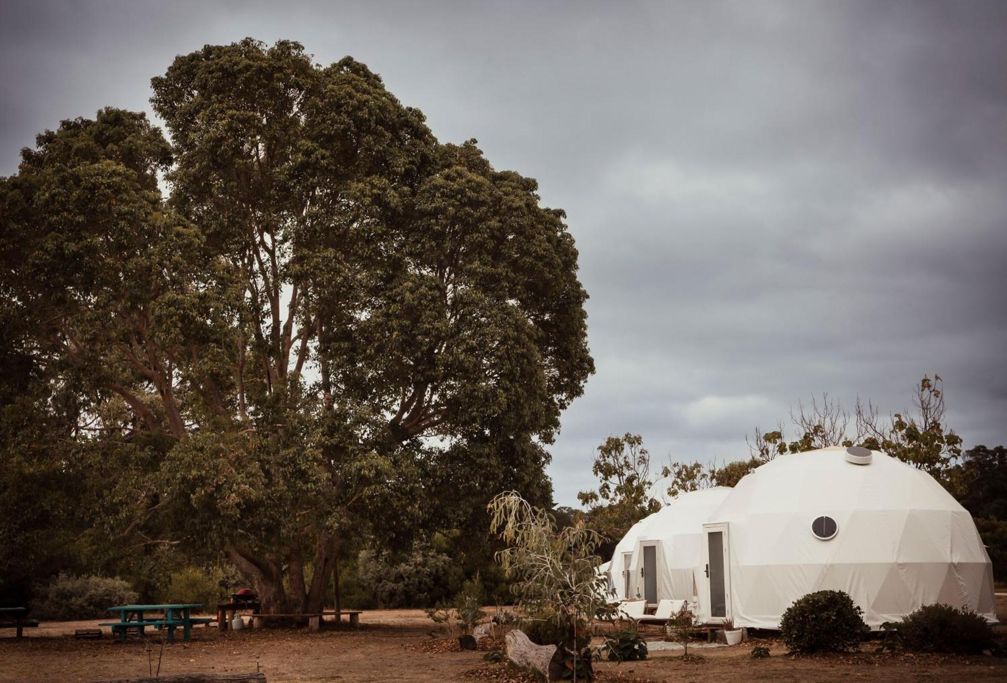 Boogaloo Camp Hotel Augusta Luaran gambar